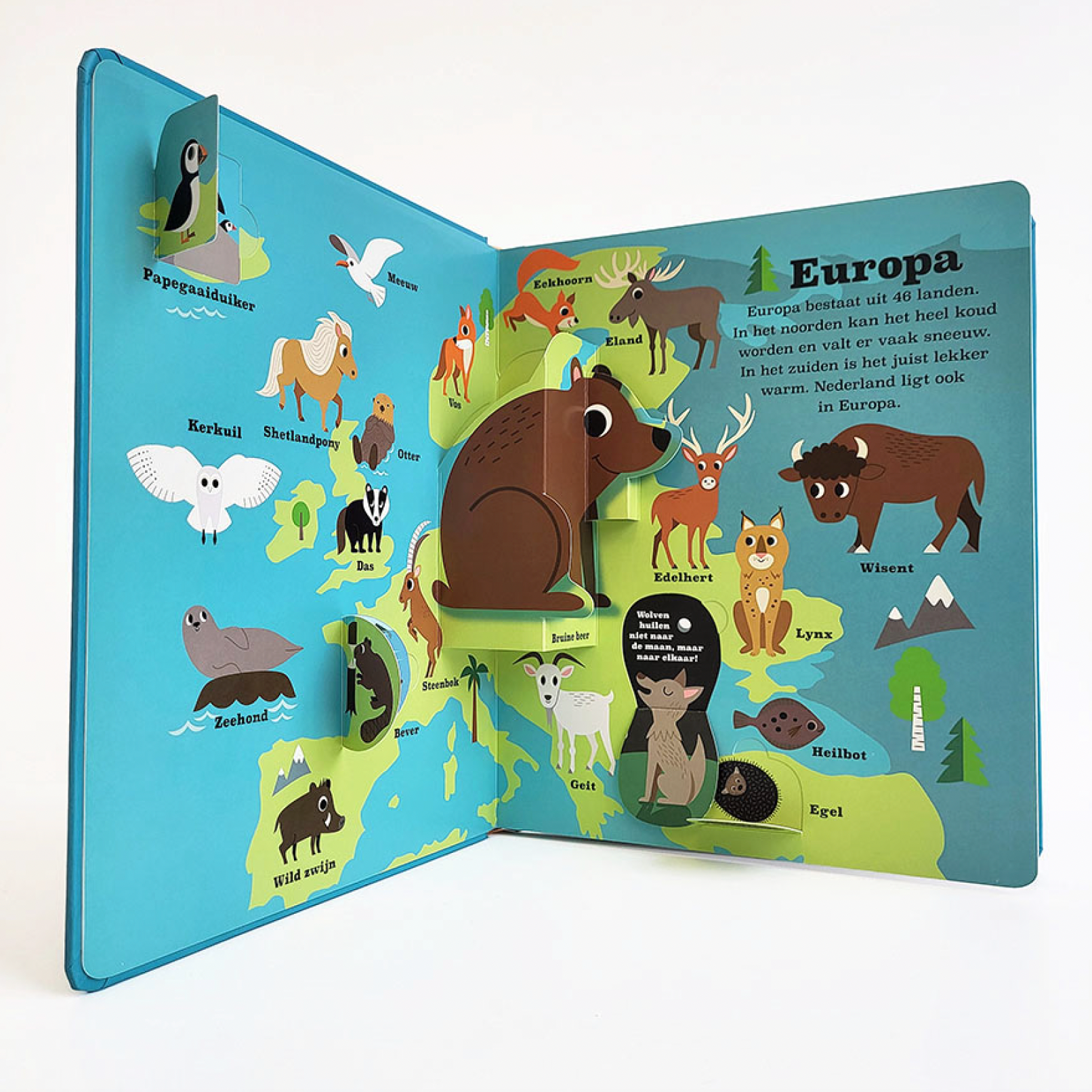 educatief dierenboek met kleurrijke kaarten en dieren