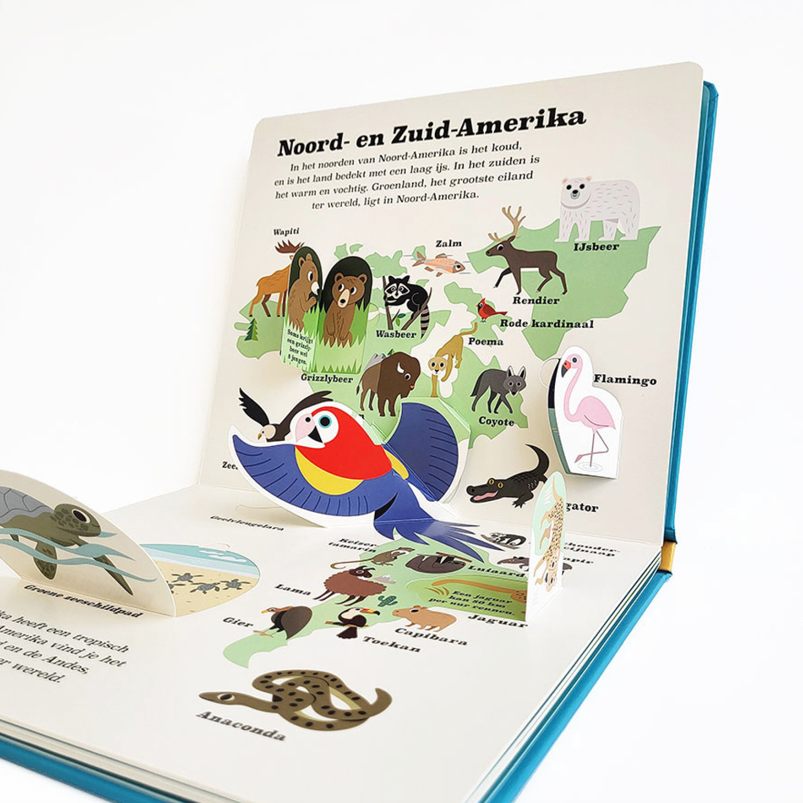 pop-up kinderboek met weetjes over dieren wereldwijd
