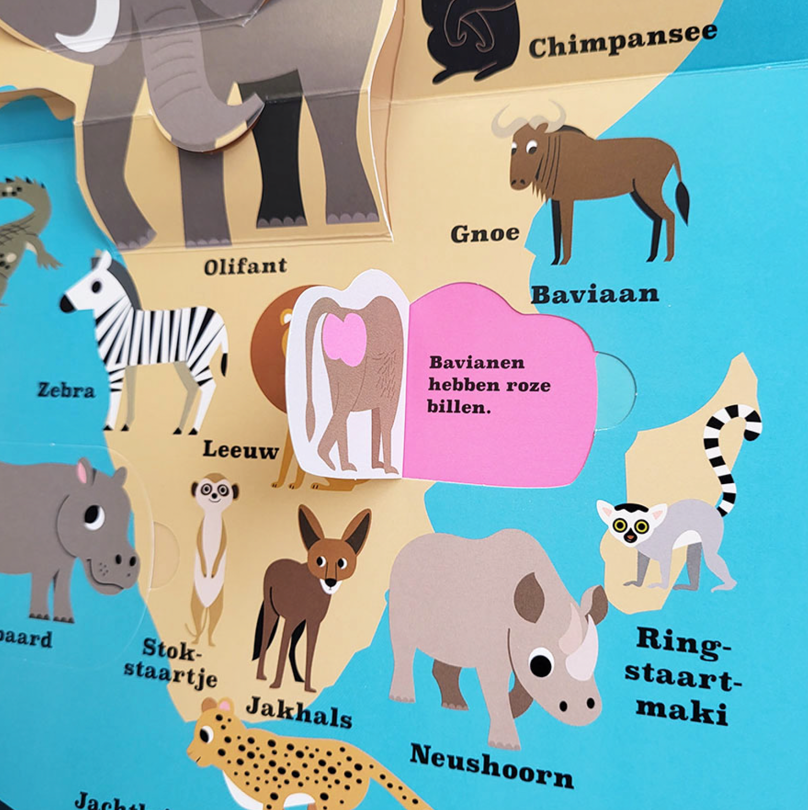 dierenatlas met pop-up elementen en weetjes