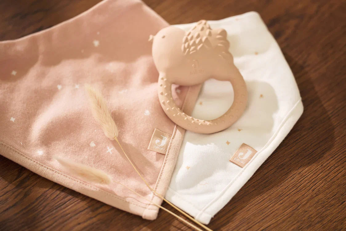 Sfeerbeeld van Jollein roze bijtring lovely birds