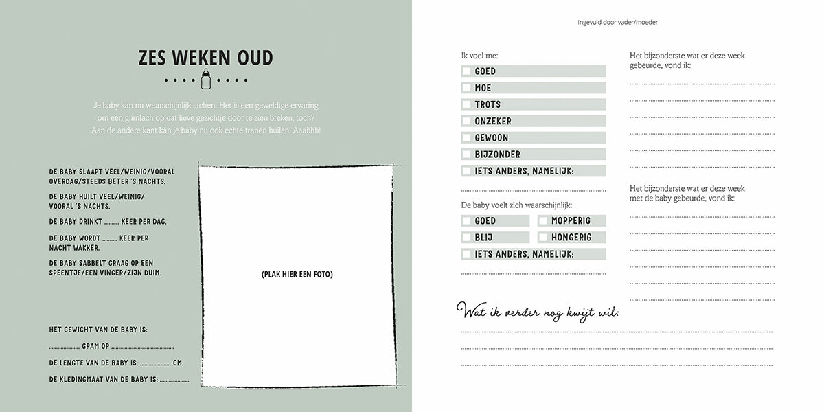 lantaarn publishers linenlook invulboek over baby's eerste jaar