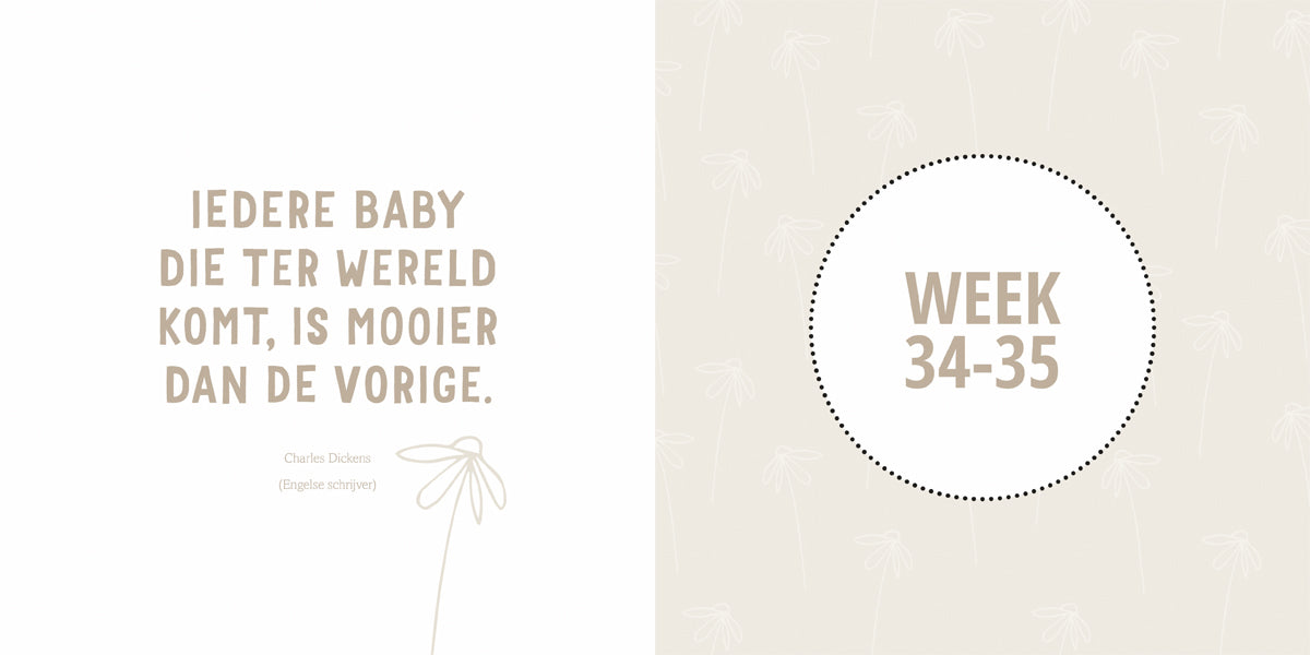 lantaarn publishers linenlook invulboek over 9 maanden zwangerschap