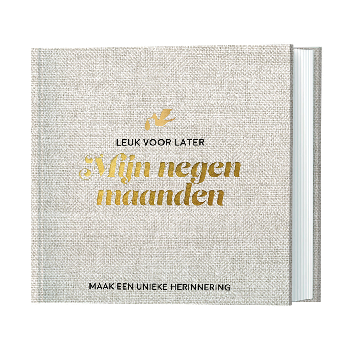 Detailfoto goudopdruk omslag invulboek Mijn negen maanden