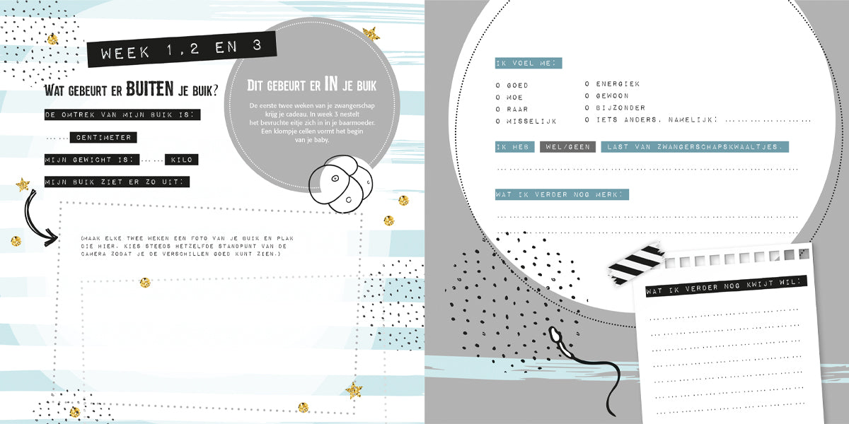 lantaarn publishers invulboek 9 maanden, leuk als kraamcadeau