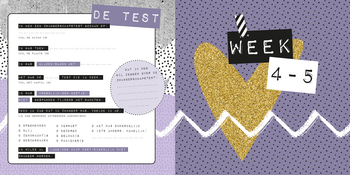 Voorbeeld invulpagina’s Negen maandenboek