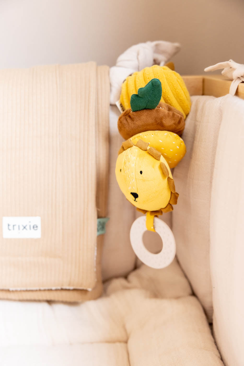 Dansende hanger Mr. Lion van Trixie – sfeerfoto