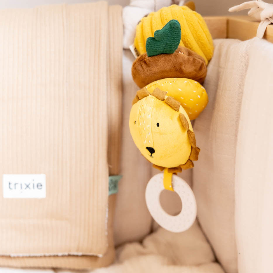 Dansende hanger Mr. Lion van Trixie – sfeerfoto