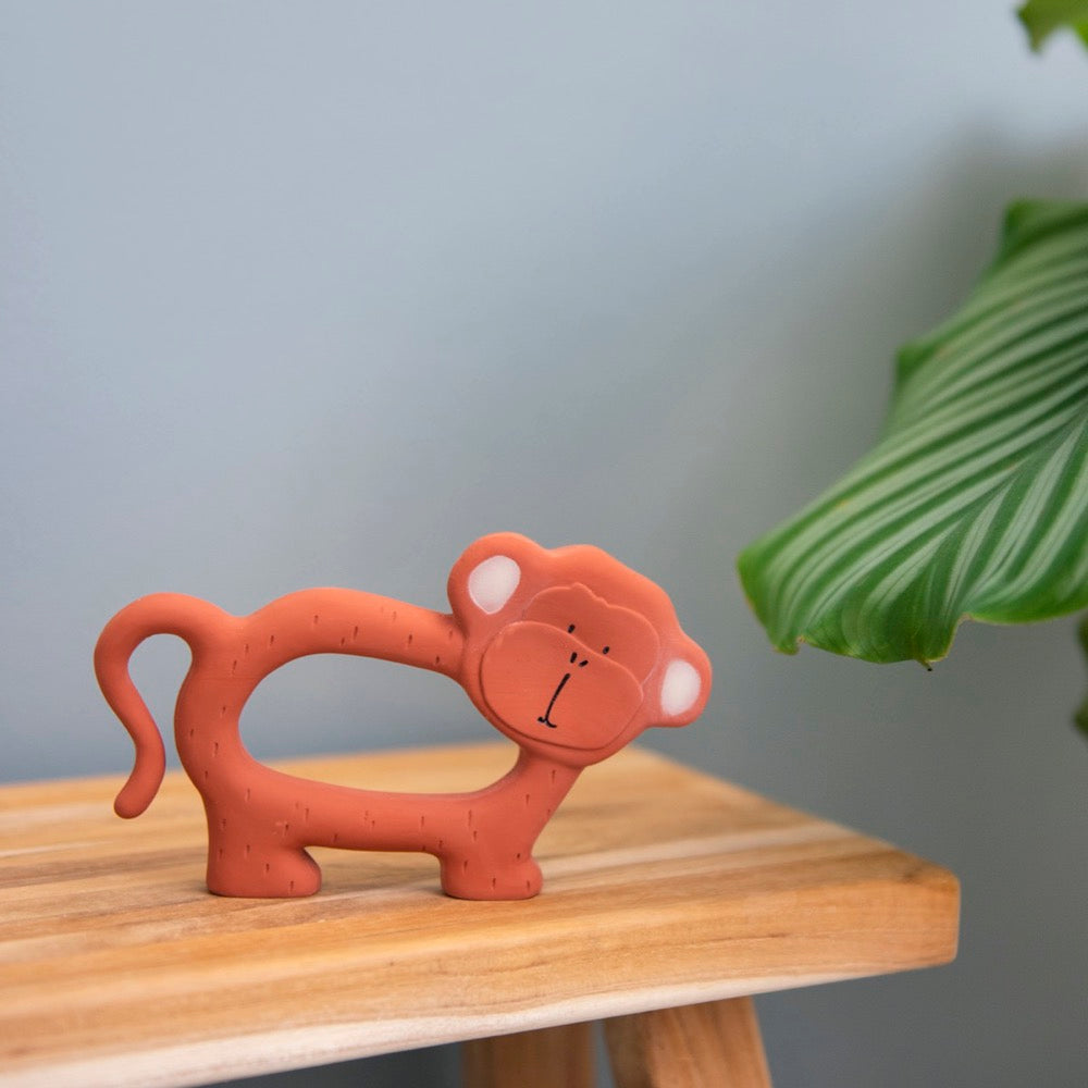 Sfeerfoto van bijtring- en badspeelgoed mr.monkey