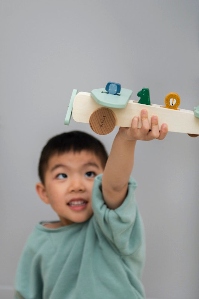 Sfeerfoto van meisje wat speelt met trixie dierenvliegtuig