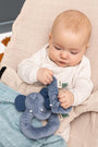 baby speelt met mrs. elephant rammelaar