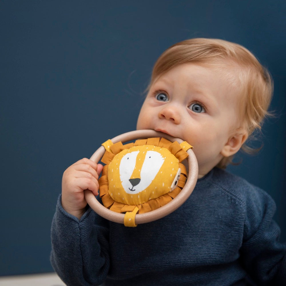 Baby speelt met rammelaar Mr.Lion 