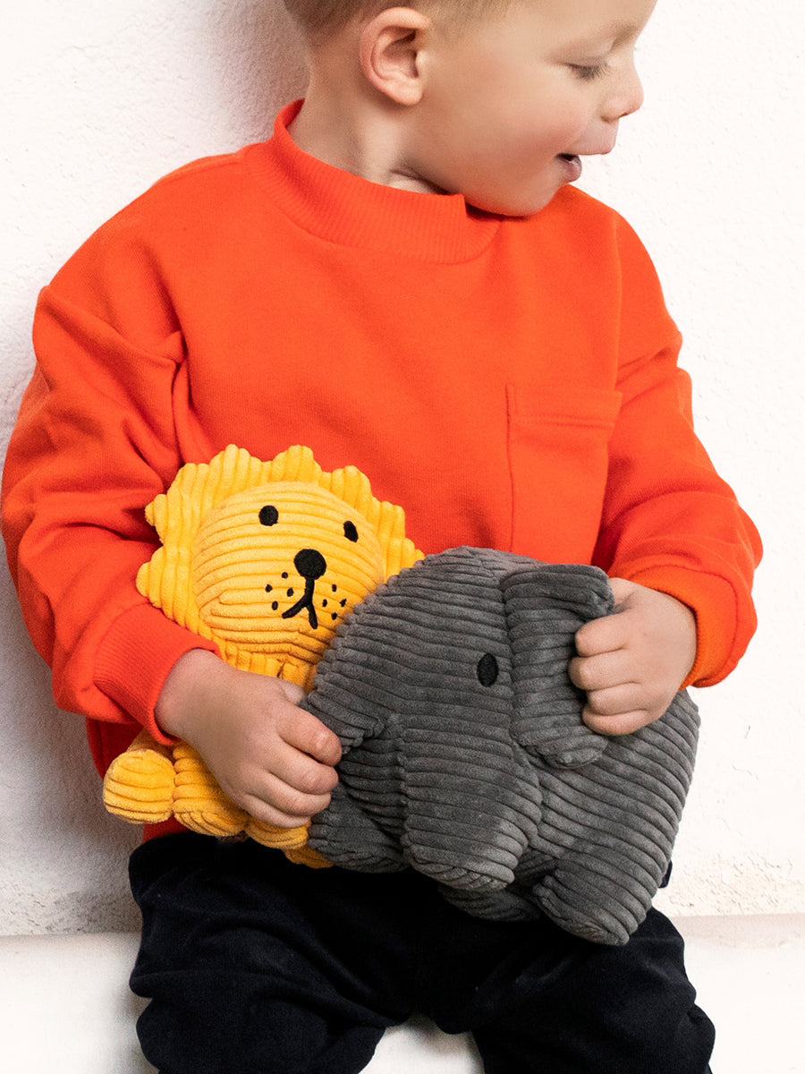 Sfeerfoto van jongen en twee knuffels uit de miffy serie van Bontontoys