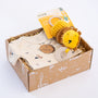 Kraamcadeau pakket Wobbly lion