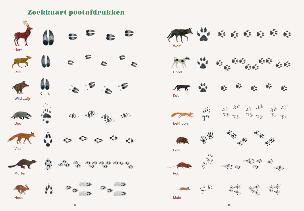 zoekkaart van pootafdrukken uit spoorzoeken boek