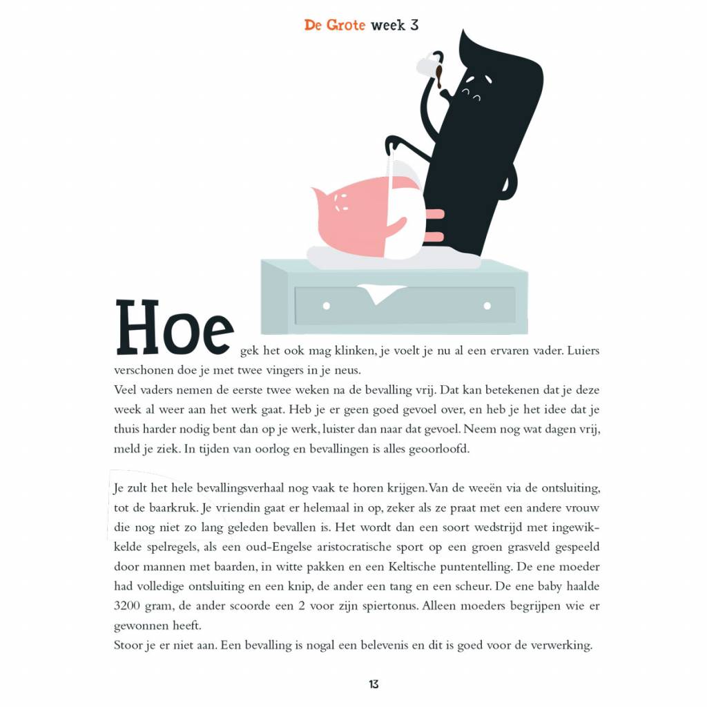 cadeauboek voor aanstaande of jonge vaders week tot week beschreven
